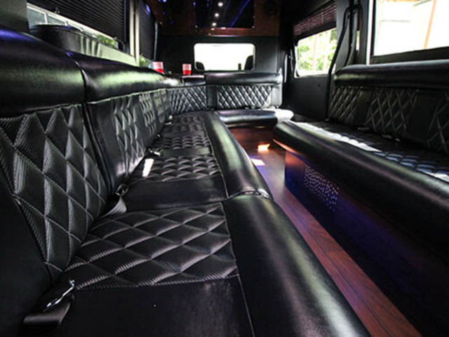 luxury Sprinter van rental with leather seats
